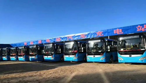 西運集團(tuán)新能源充電站啟用暨3路公交開通與道路貨物運輸站經(jīng)營啟動